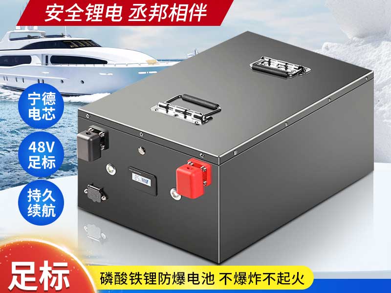 大容量储能锂电池